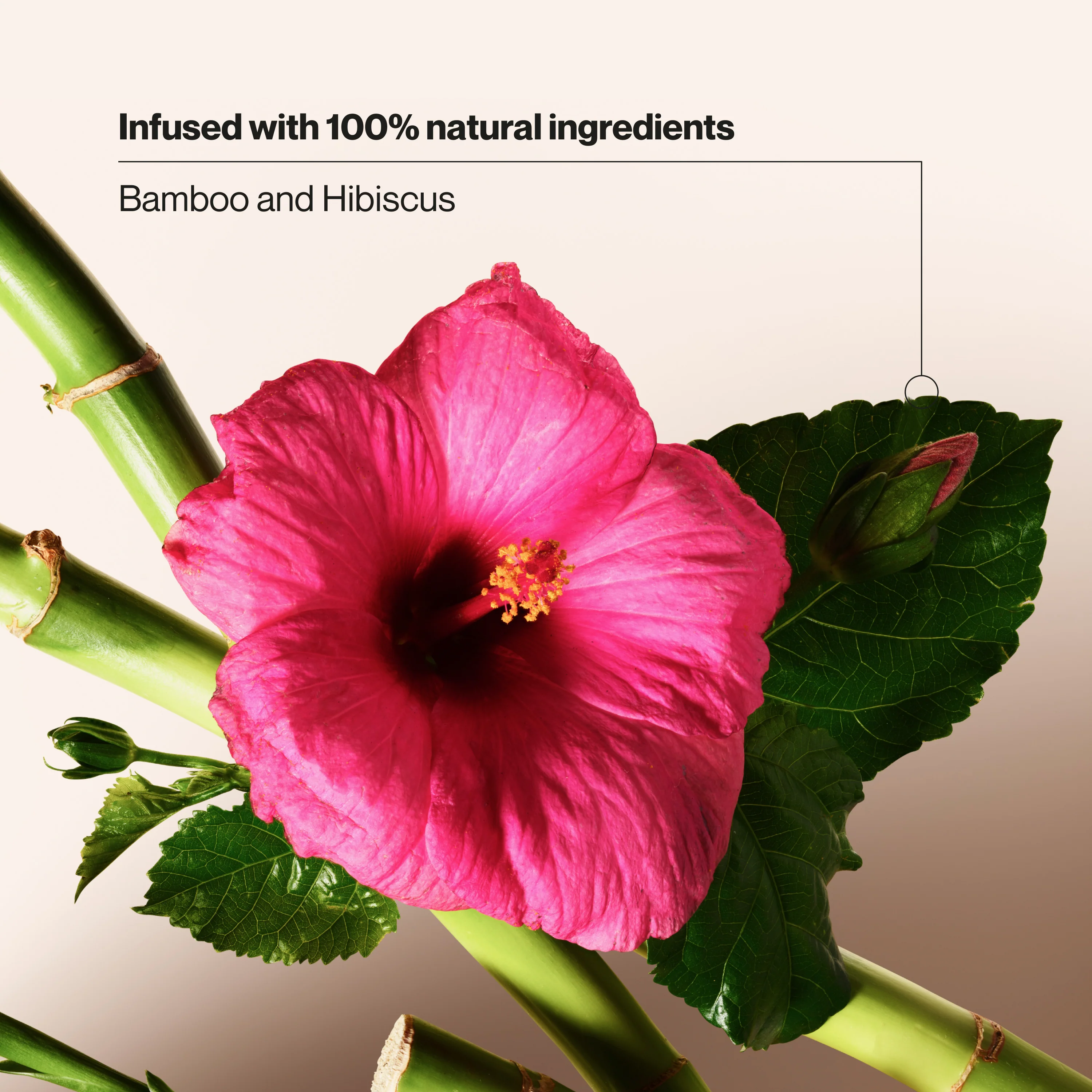 Bamboo & Hibiscus Volumizing Conditioner - Image 5