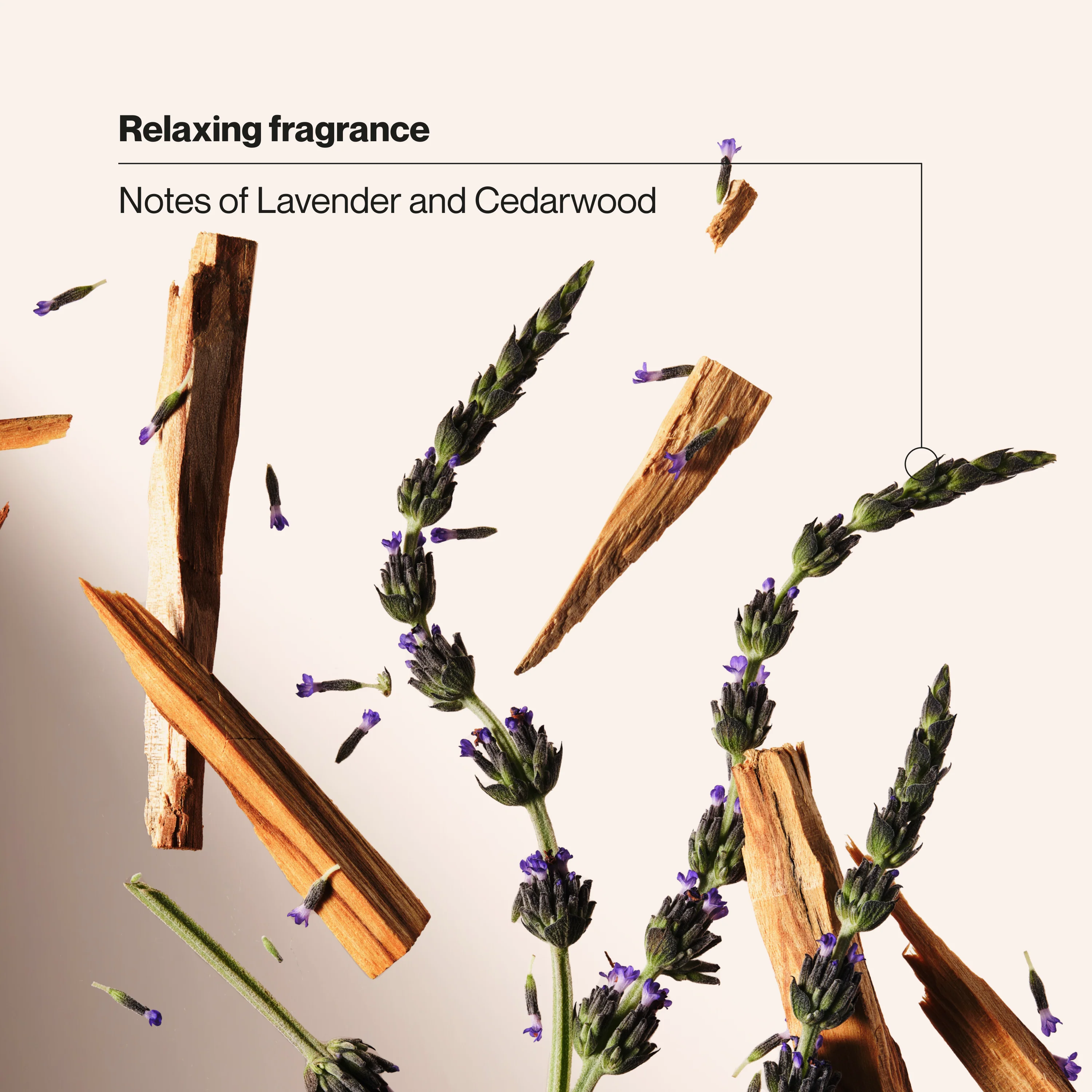 Men's Stress Relief Body + Face Wash - Image 5