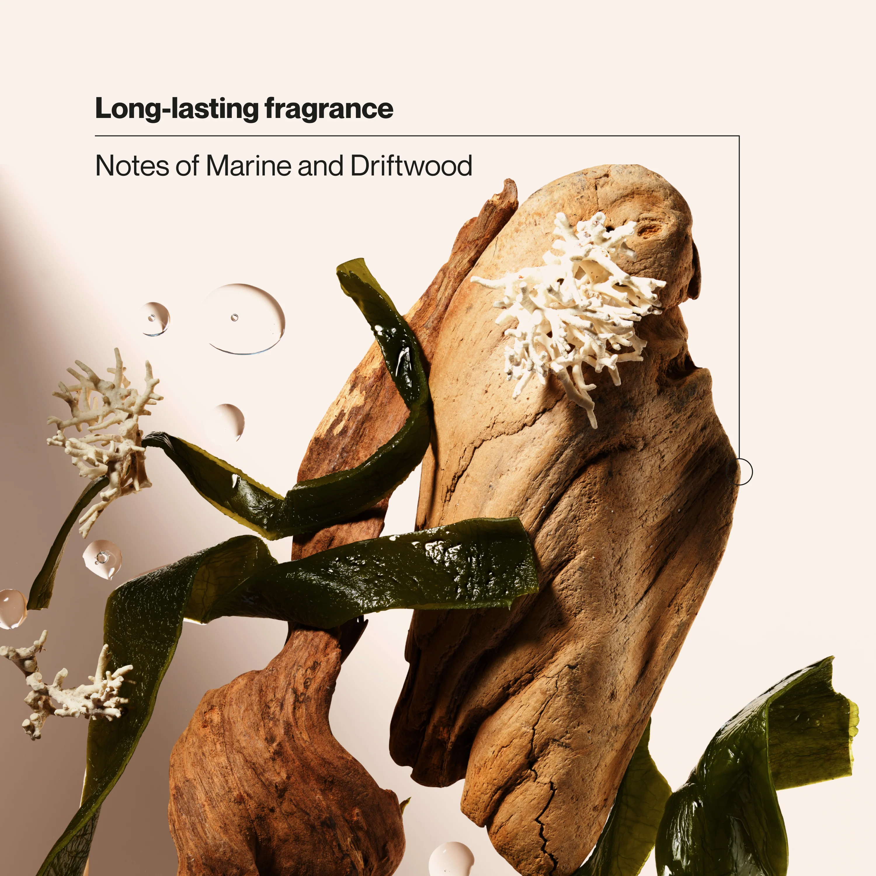 Ocean Charge Men's Antiperspirant Deodorant - Image 5