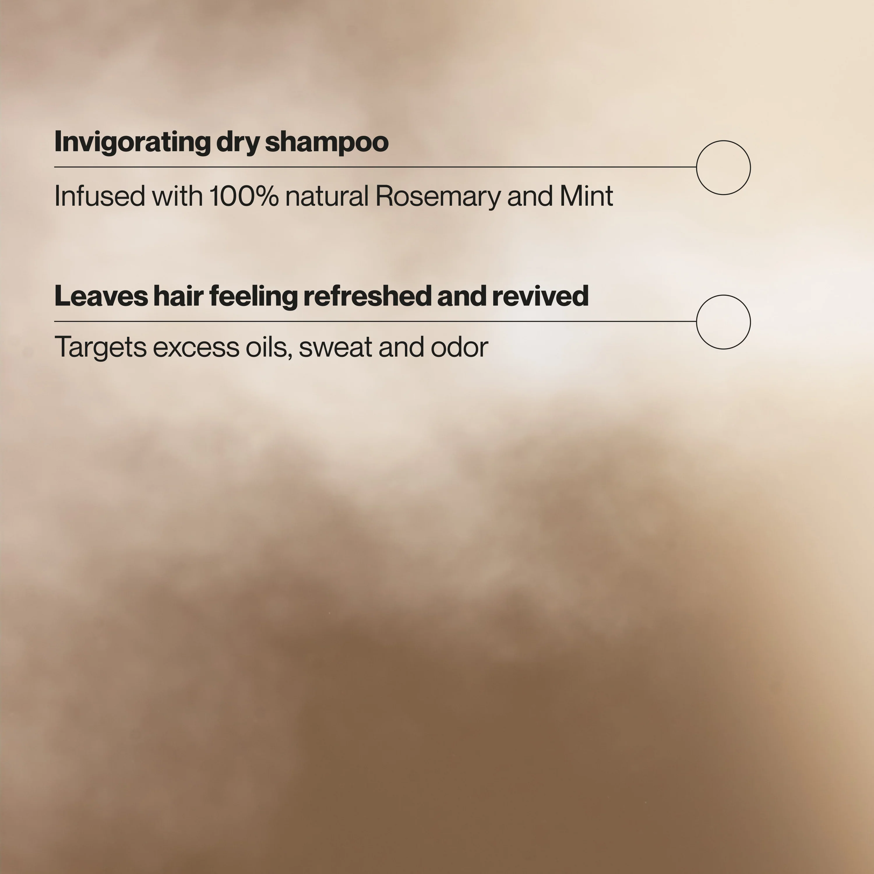 Rosemary & Mint Invigorating Dry Shampoo - Image 3