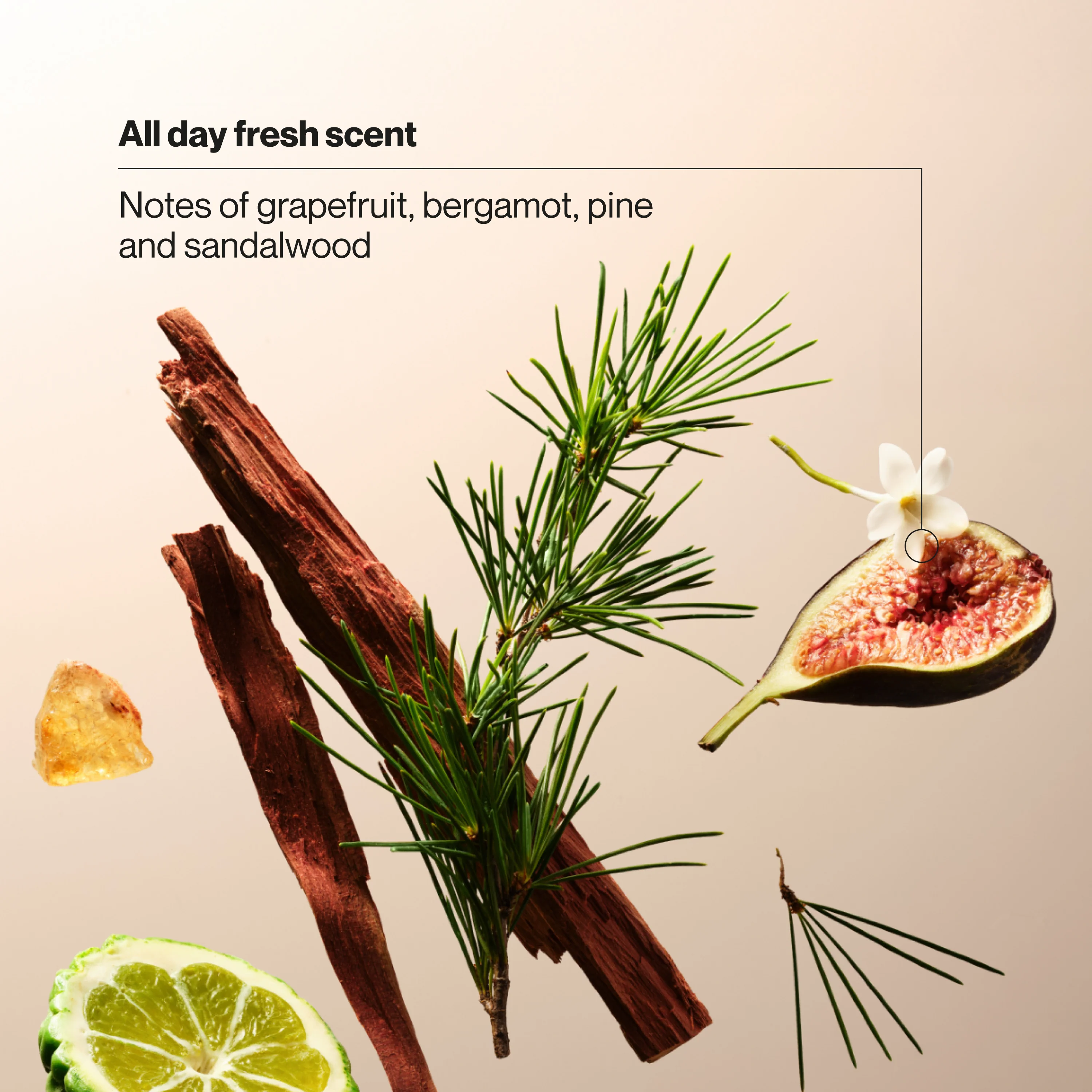 Men's Fresh Defense Body + Face Wash - Image 4