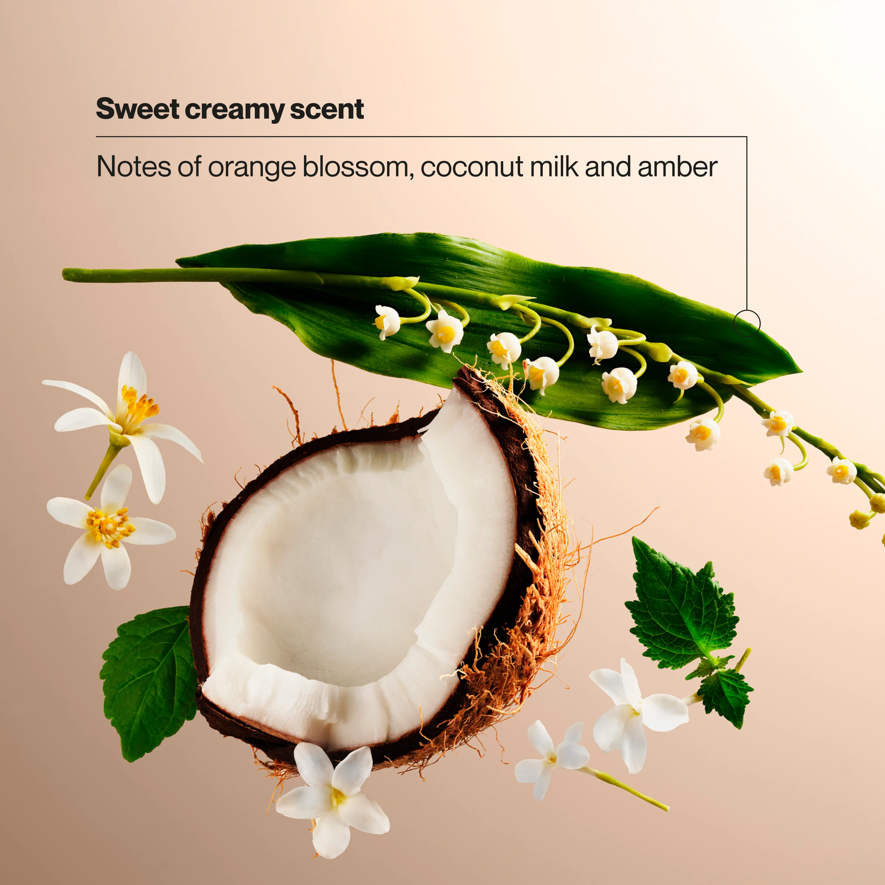 Coconut Cashmere Dry Spray Antiperspirant Deodorant - Image 4