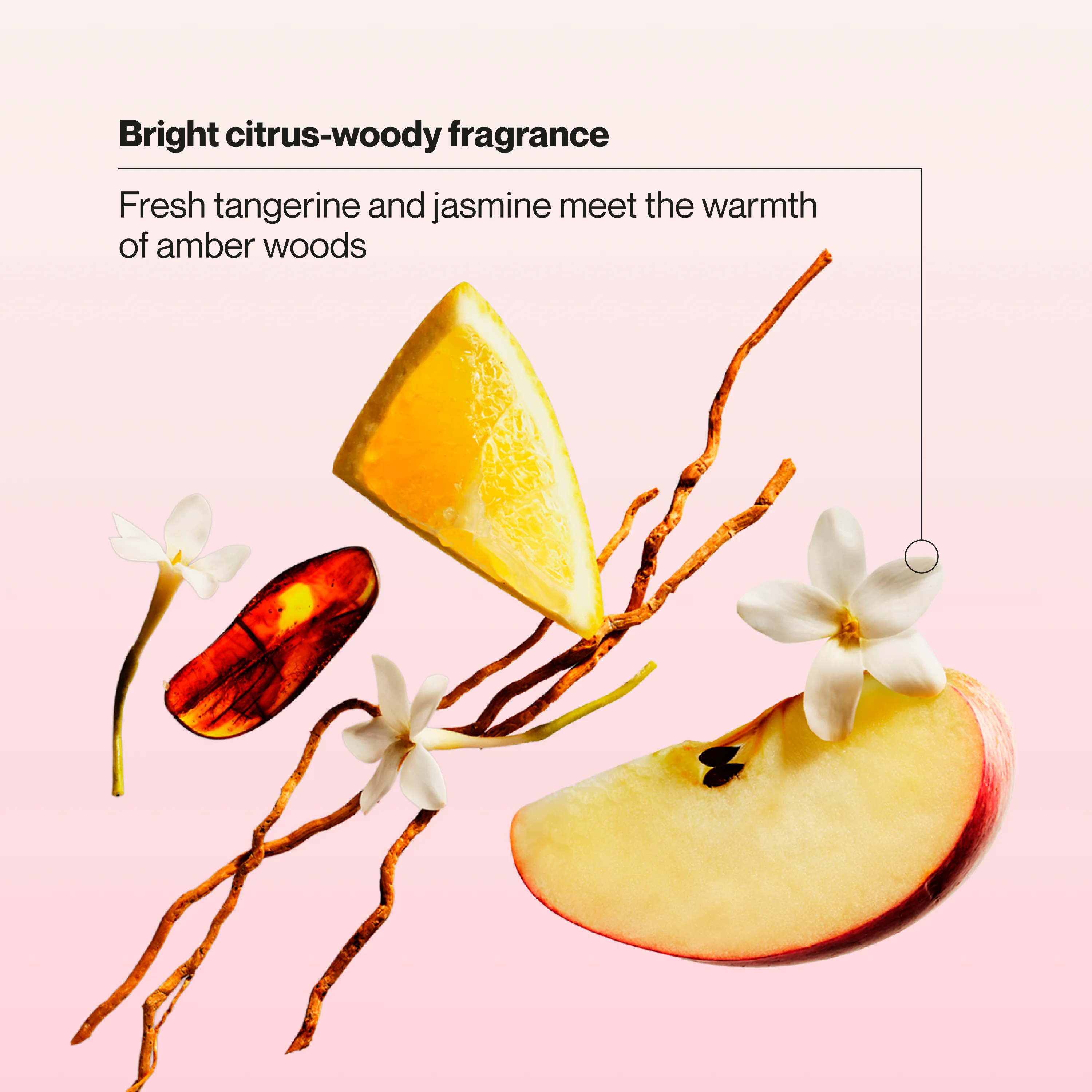 Hydra Gloss Sulfate Free Shampoo - Image 4