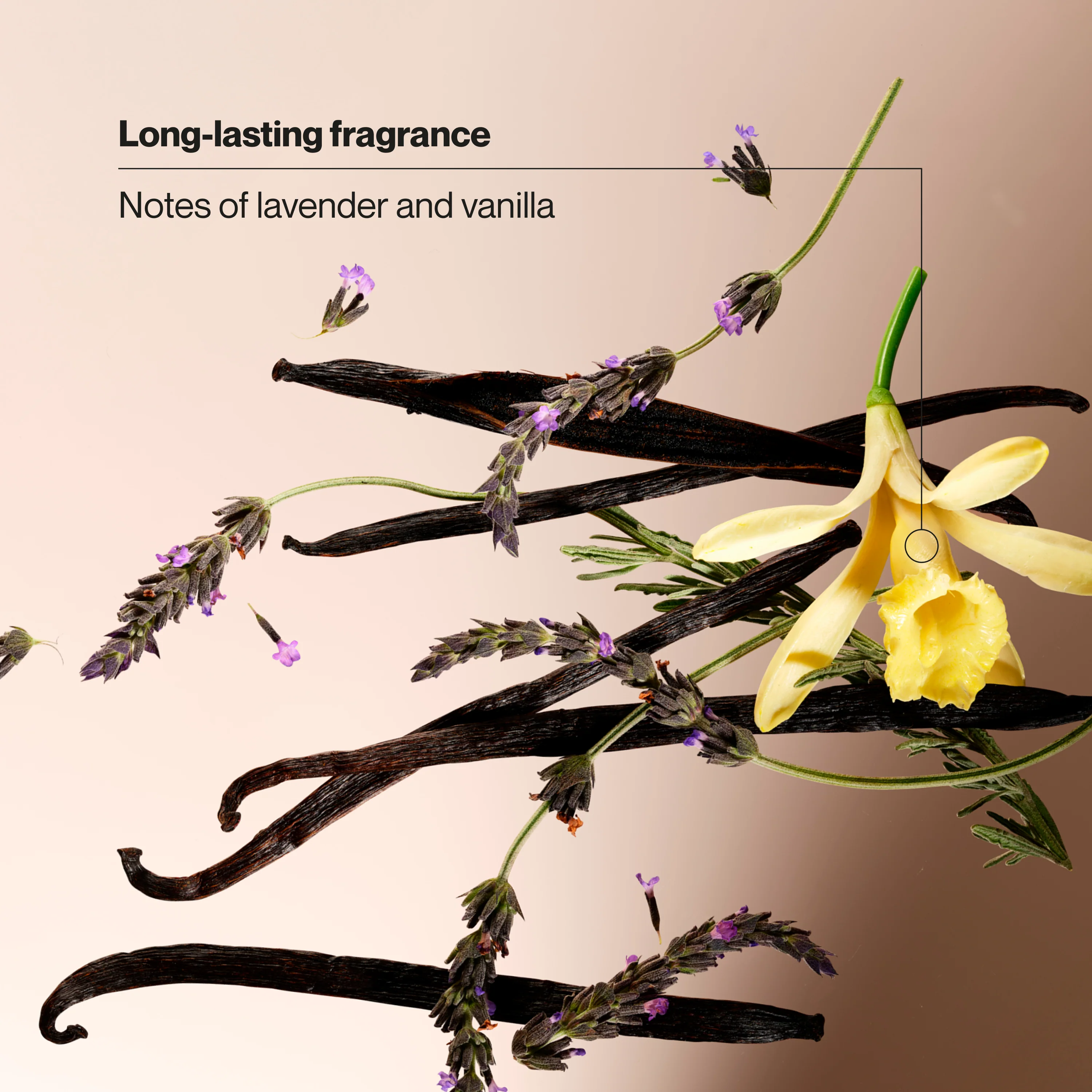 Lavender & Vanilla Invisible Solid Antiperspirant Deodorant Stick - Image 4