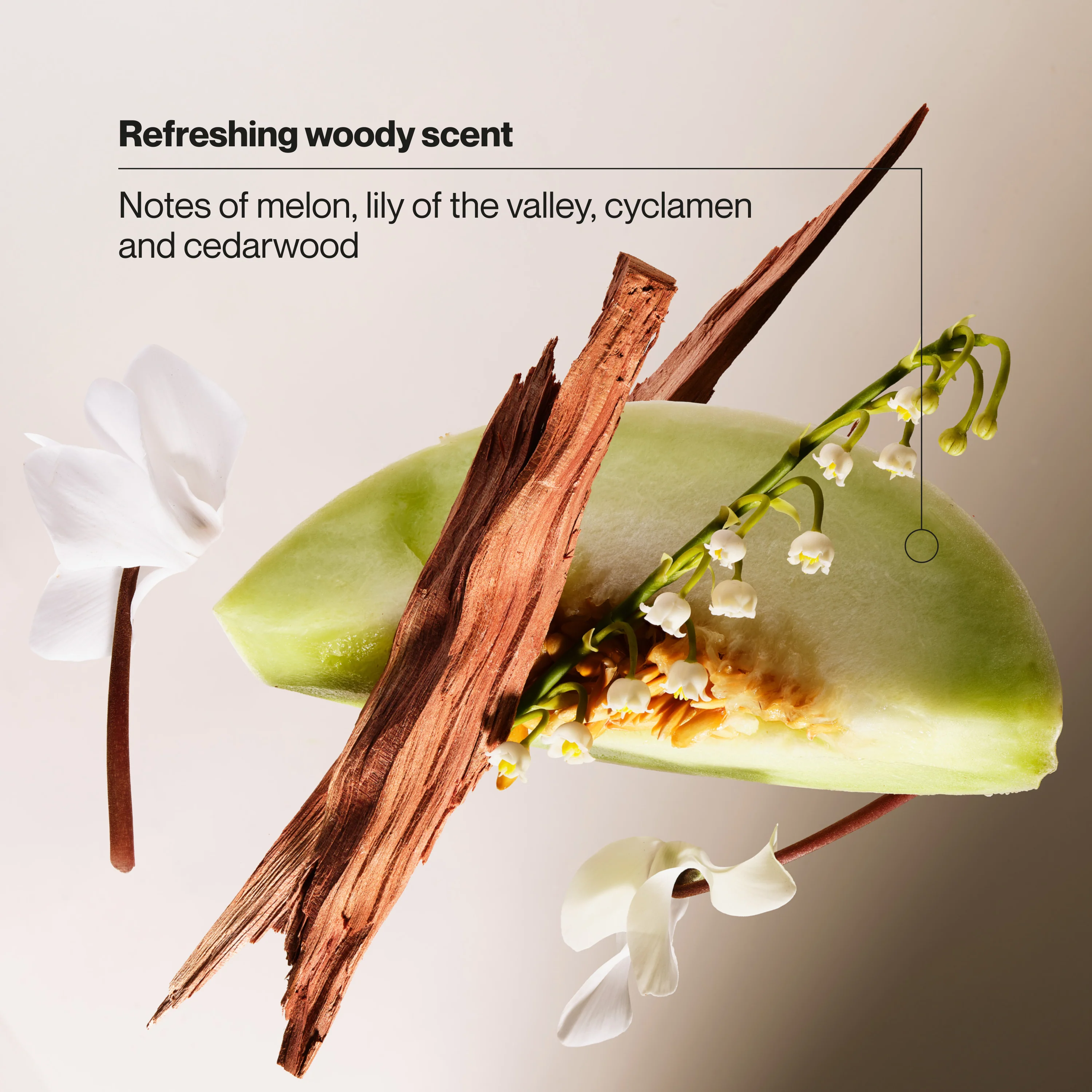 Classic Clean Men's 2-in1 Anti Dandruff Shampoo & Conditioner - Image 6