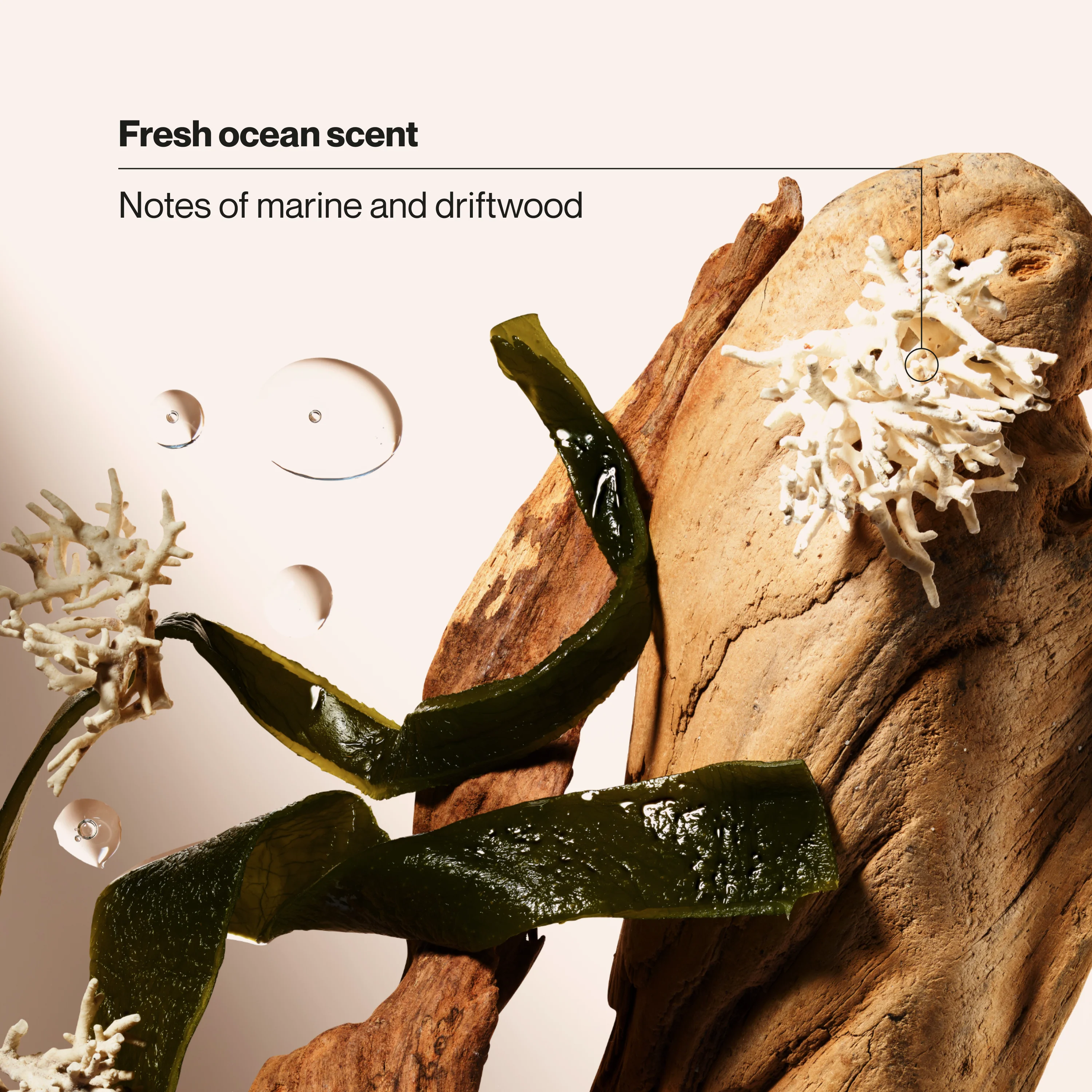 Aluminum Free Ocean Charge Men's Deodorant - Image 4