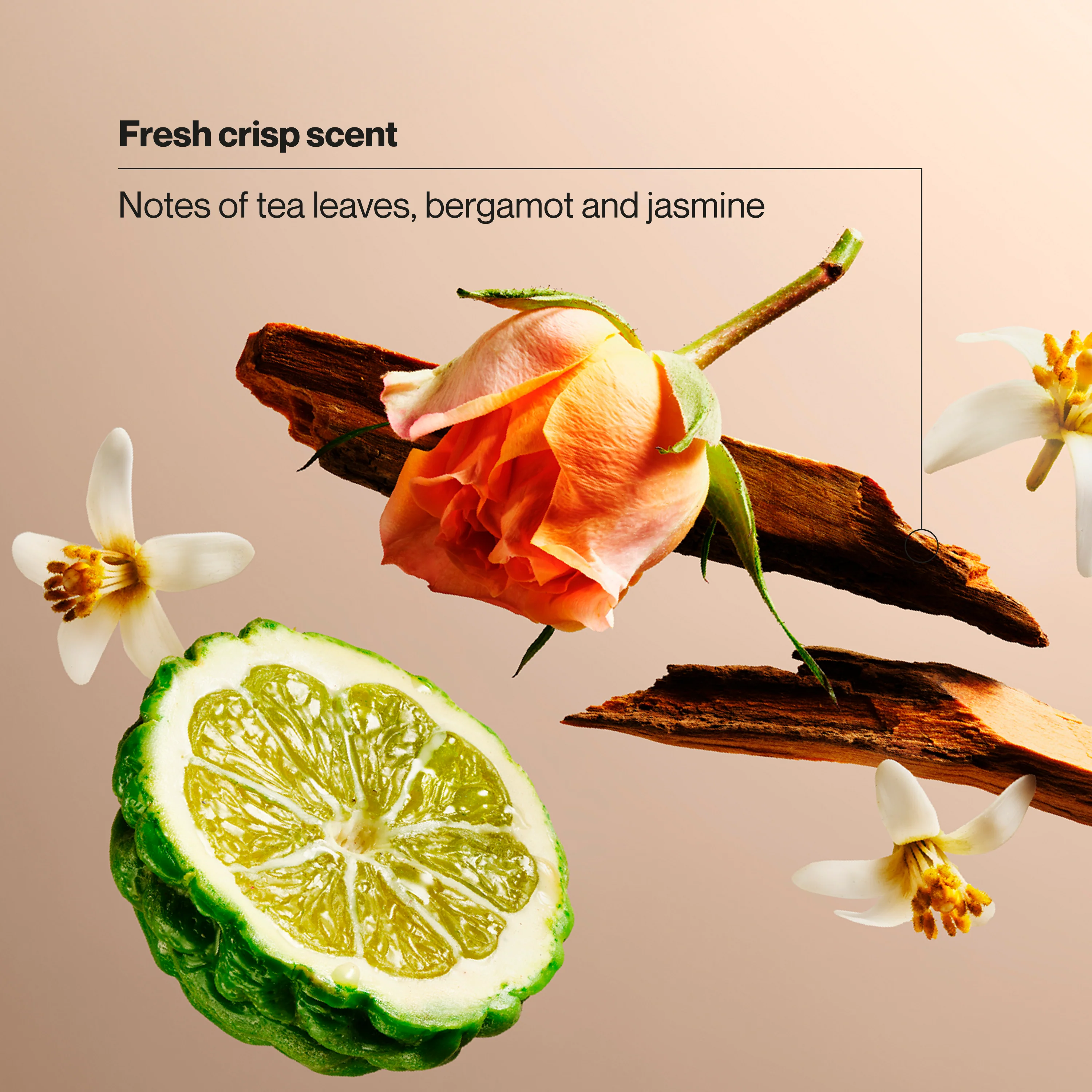 Purely Clean Dry Spray Antiperspirant Deodorant - Image 4