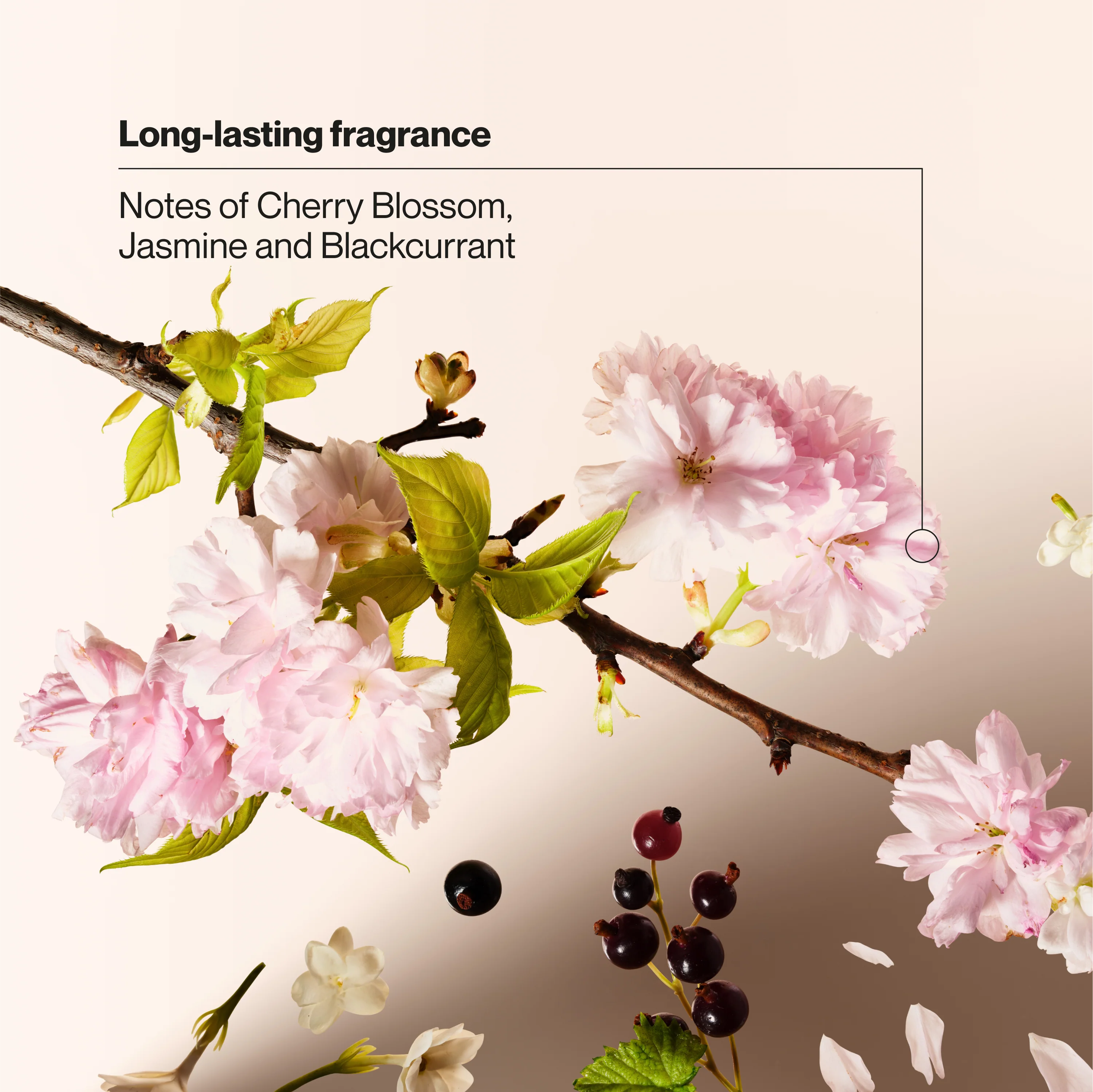 Wild Cherry Blossom Invisible Solid Antiperspirant Deodorant Stick - Image 6